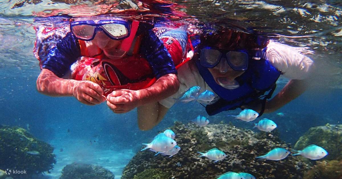 Snorkeling Experience in Guam’s Tropical Reef Klook India